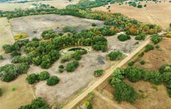 Ladewig Ln, Schulenburg, TX 78956