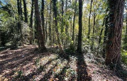 1060 De Leon Drive, Clarkston, GA 30021