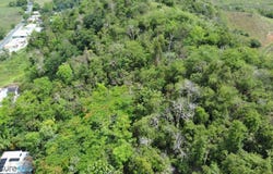 Humacao, Humacao, PR 00791
