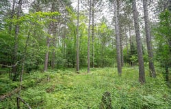 51xx Lindahl Rd, Duluth, MN 55811
