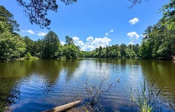 295 County Road 2462, Douglassville, TX 75560
