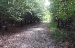 38.655 ac County Road 20, Jasper, TX 75951