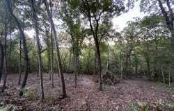 190 Deer Dr, Ridgedale, MO 65739