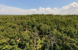 County Road 127, Alton, MO 65606