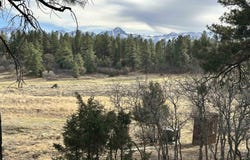 46 Marmot Drive, Ridgway, CO 81432