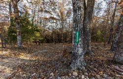2112 County Road 348, Thayer, MO 65791