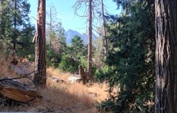 Mariposa Drive, Pierpoint Springs, CA 93265
