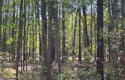 11235 ANNABELLE Drive, ISSUE, MD 20645