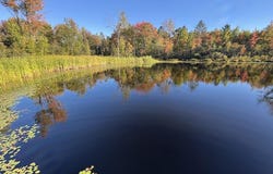141 Hawthorne Drive, Beaverton, MI 48612