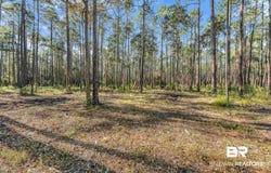 Bay Road, Foley, AL 36535
