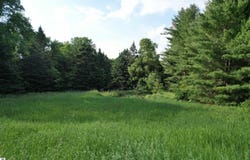 33 W 20 Road, Mesick, MI 49668