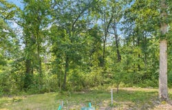 204 Ella Rose Lane, St Charles, MO 63304