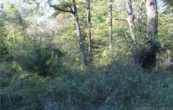 Dogwood Drive, Stover, MO 65078