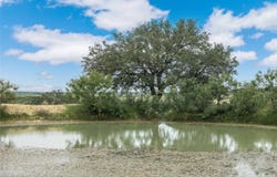 332 Ledge Stone, Blanket, TX 67432