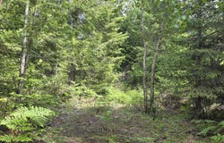 5784 River Rd, Clark Fork, ID 83811