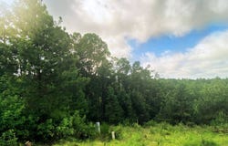 186 Chasing Stella Lane, Hochatown, OK 74728