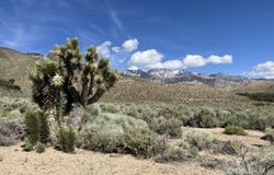 2550 Sage Flats, Olancha, CA 93549