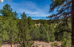 TBD L Arnold Drive, Cotopaxi, CO 81223