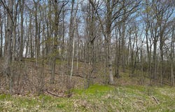 51XX Banyan Drive, Garrison, MN 56450