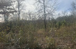 1 Old Jacksonboro Road, Ravenel, SC 29470