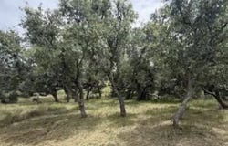 4215 Sunset Cliff Road, Burnet, TX 78611