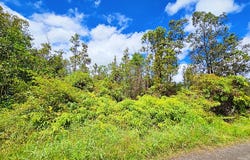 ALA NAULANI RD lot: 46, Volcano, HI 96785