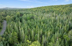 Wood Yard Crossing lot: 11, Pittsburg, NH 03576