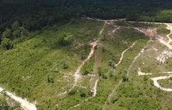 196 S County Line Road, Lumberton, MS 39455