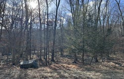 Decker Road lot: 736, Bushkill, PA 18324