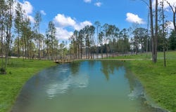 THE COTTAGES AT SMITH LAKE lot: 126, Houston, AL 35572