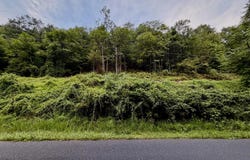 LUCAS HOLLOW Road lot: 11B, STANLEY, VA 22851
