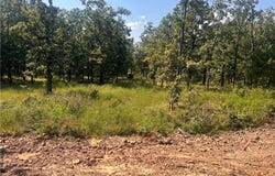 30225 River RD, Whitesboro, OK 74577