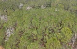 HWY 160, Smackover, AR 71762