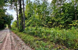 3397 Indian Road, Brutus, MI 49716