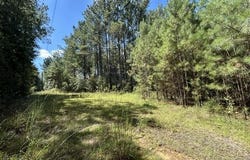 Irene Road, Summit, MS 39666