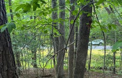 124 Navajo Drive, Louisburg, NC 27549