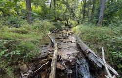Matson Rd, Ligonier, PA 15658