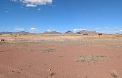 Lower Elgin Road 1, Elgin, AZ 85611