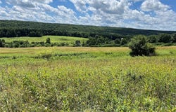 Bates Road, Sinclairville, NY 14782