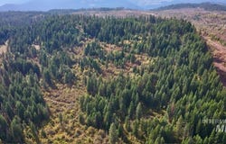 Timber Ridge Drive, Orofino, ID 83544