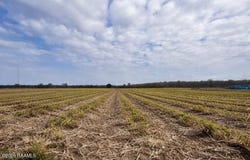 673 Yokley Road lot: 8C, Franklin, LA 70538