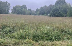 00002 Ramona Drive, Odessa, MO 64076