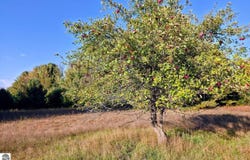 8 VL Betsie River Road, Interlochen, MI 49643
