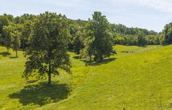 Long Level Road lot: 3, Floyd, VA 24091