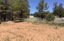 Cedar Bark Trail, Overgaard, AZ 85933