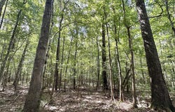 3 Clara Foote Rd, Braxton, MS 39044