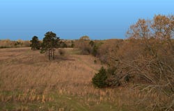 0001 E 1960 Rd, Antlers, OK 74523