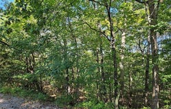 9488 Bent Tree Drive, Hillsboro, MO 63050