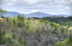 250 Noah Circle, Ellijay, GA 30540