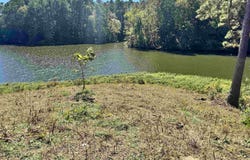 560 MULBERRY LANDING lot: 15, SHELBY, AL 35143